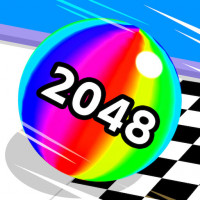 2048 Run